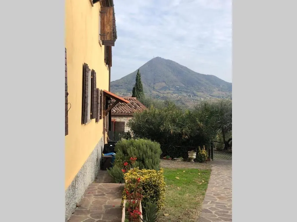 Rustico Del Vigneto Villa Albettone Holiday home