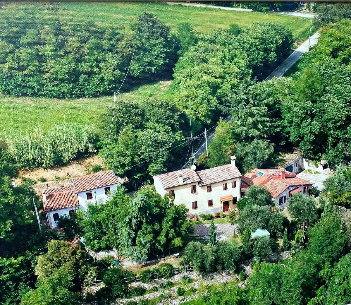 Holiday home Rustico Del Vigneto Villa Albettone